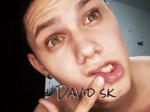 David_sk