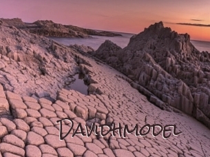 Davidhmodel