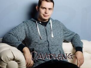 davidleng Spicy Blogs