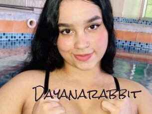 Dayanarabbit