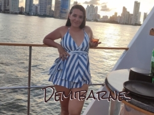 Demibarnes