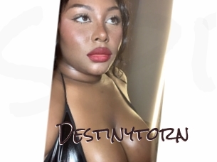 destinytorn Spicy Blogs