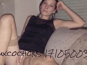 Deuxcochons