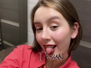 disun Spicy Blogs