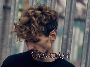 Domdam