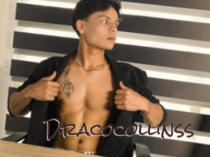 dracocollinss Spicy Blogs