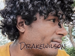drakewilson Spicy Blogs