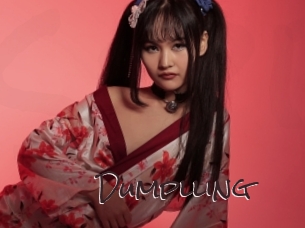 dumplling Spicy Blogs