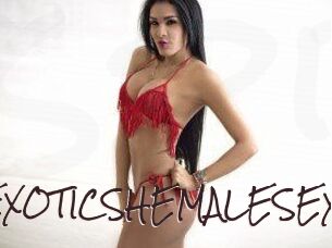 EXOTICSHEMALESEX Spicy Blogs