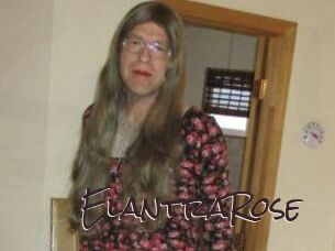Elantra_Rose