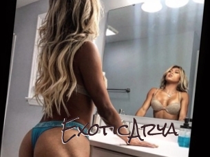 ExoticArya Spicy Blogs