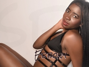 ebbony Spicy Blogs
