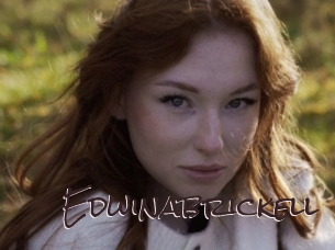 Edwinabrickell