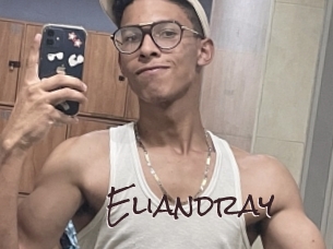 eliandray Spicy Blogs