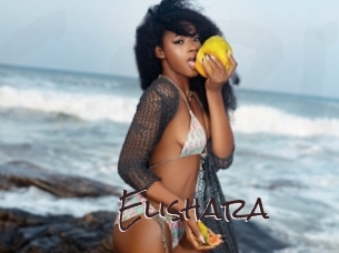 elishara Spicy Blogs