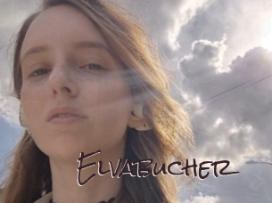Elvabucher