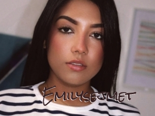 emilysejmet Spicy Blogs