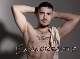 escanorcastle Spicy Blogs