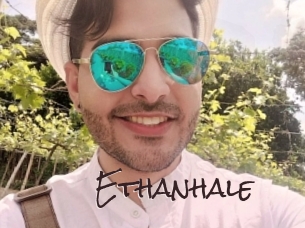 ethanhale Spicy Blogs