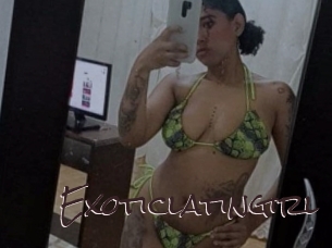 Exoticlatingirl