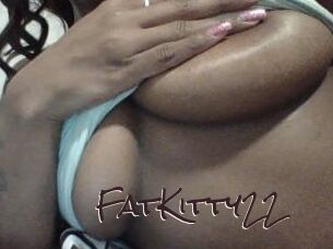 FatKitty22
