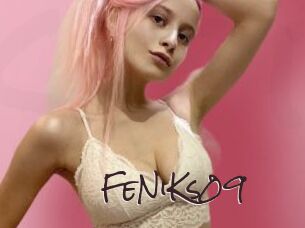 FeNiKs09