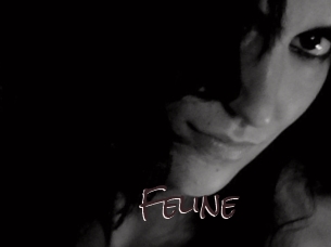 Feline