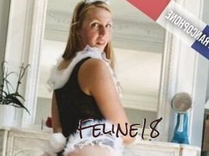 Feline18
