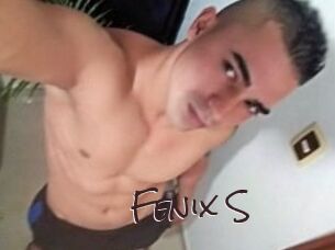 Fenix_S