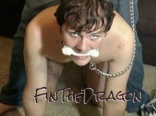 FinTheDragon Spicy Blogs