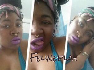 Felineplay