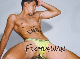 Floydswan
