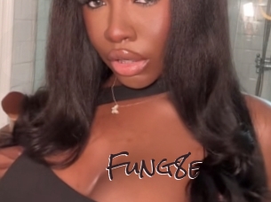 fung8e Spicy Blogs
