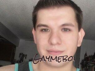 Gaymeboi
