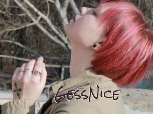 GessNice