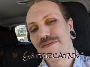Gatorcatnb
