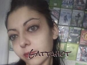 Gattahot
