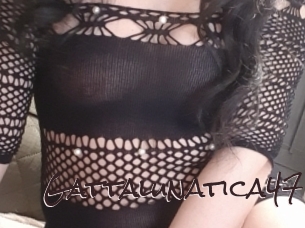 gattalunatica47 Spicy Blogs