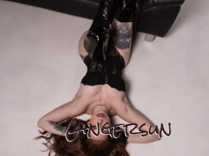 gingersun Spicy Blogs