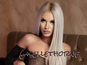gisellethorne Spicy Blogs