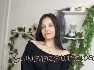 Guineverealdridg
