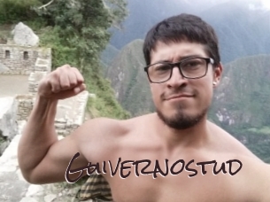guivernostud Spicy Blogs