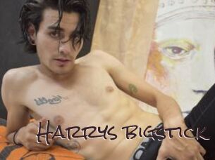 Harrys_bigstick