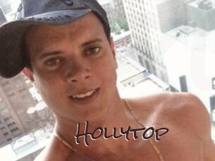 Hollytop