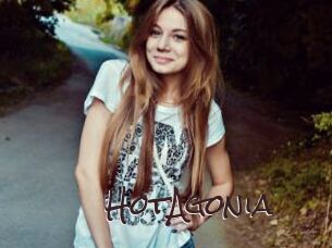 HotAgonia