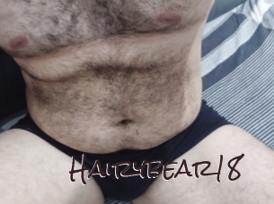 Hairybear18