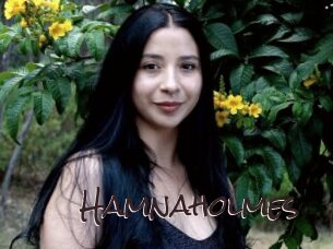 Hamnaholmes
