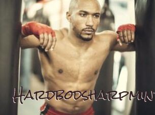 hardbodsharpmind Spicy Blogs