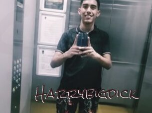 Harrybigdick