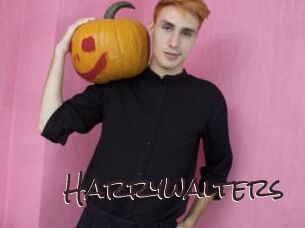 Harrywalters